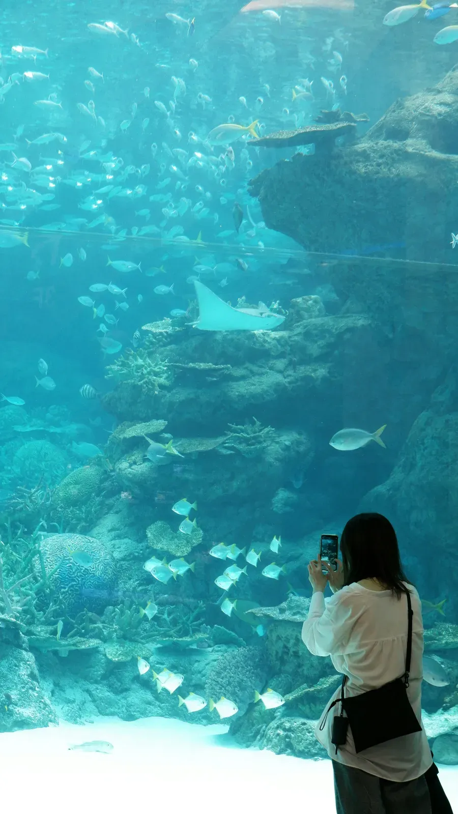 Famille lors d'une activité en plein air